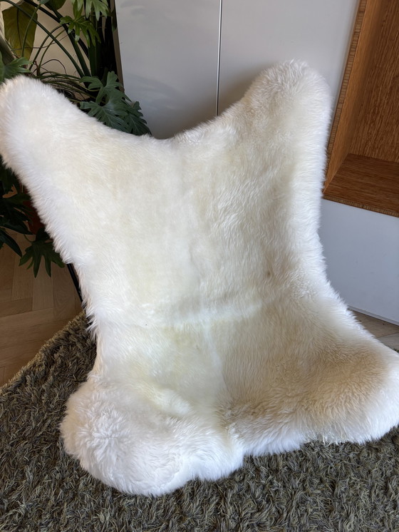 Image 1 of Chaise Butterfly Jorge Ferrari Hardoy