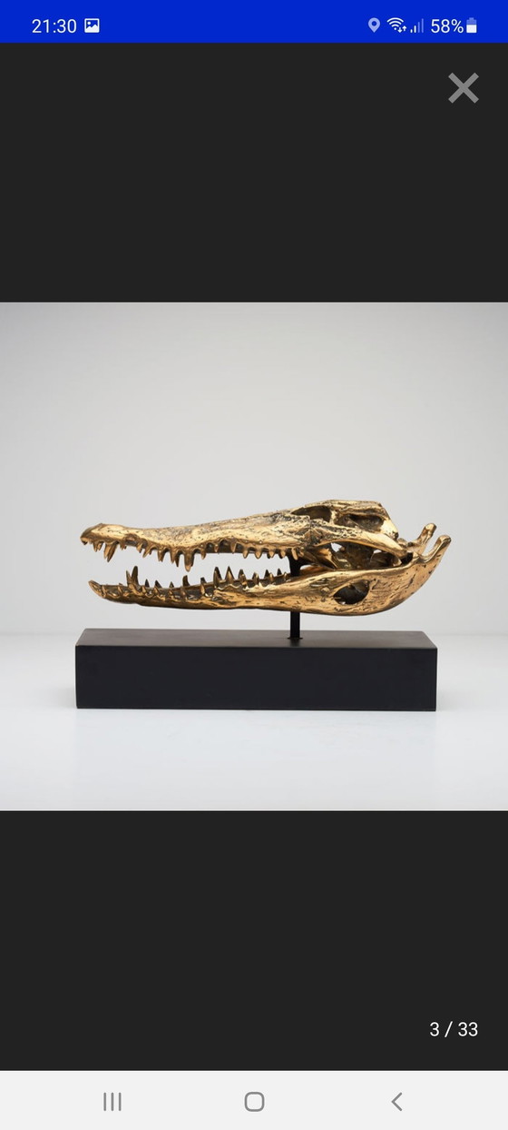 Image 1 of Crâne de crocodile en laiton (Nouveau)