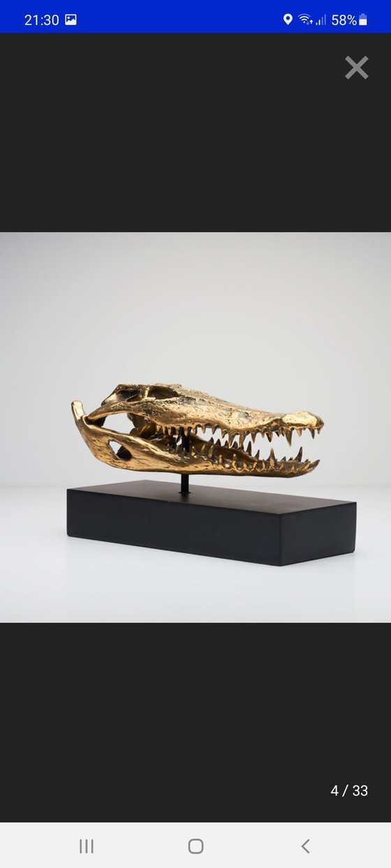 Image 1 of Crâne de crocodile en laiton (Nouveau)