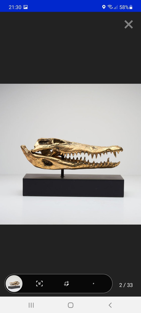 Image 1 of Crâne de crocodile en laiton (Nouveau)