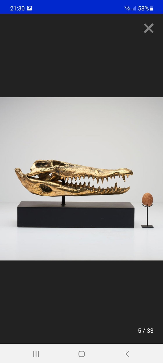 Image 1 of Crâne de crocodile en laiton (Nouveau)
