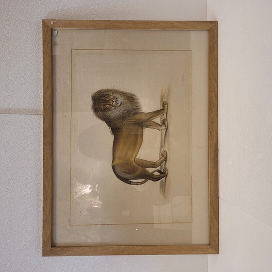 Image 1 of Tableau vintage représentant un lion par La Roche Laffitte