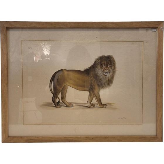 Image 1 of Tableau vintage représentant un lion par La Roche Laffitte