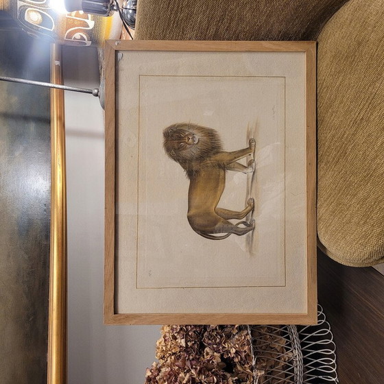 Image 1 of Tableau vintage représentant un lion par La Roche Laffitte