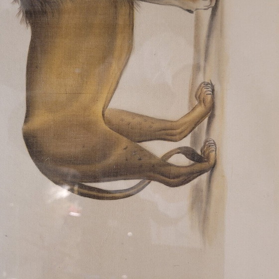 Image 1 of Tableau vintage représentant un lion par La Roche Laffitte