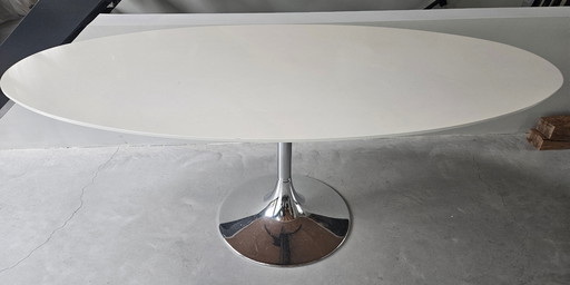 Table ovale avec pied chromé