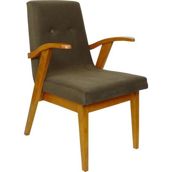 Image 1 of Fauteuil vintage par Mieczysław Puchała pour Bystrzyckie Zakłady Mebli - 1950s