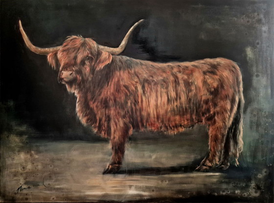 Image 1 of Nanouk Weijnen - Scottish Highlander XL