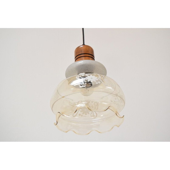Image 1 of Lampe suspendue vintage en verre et bois, Tchécoslovaquie 1970