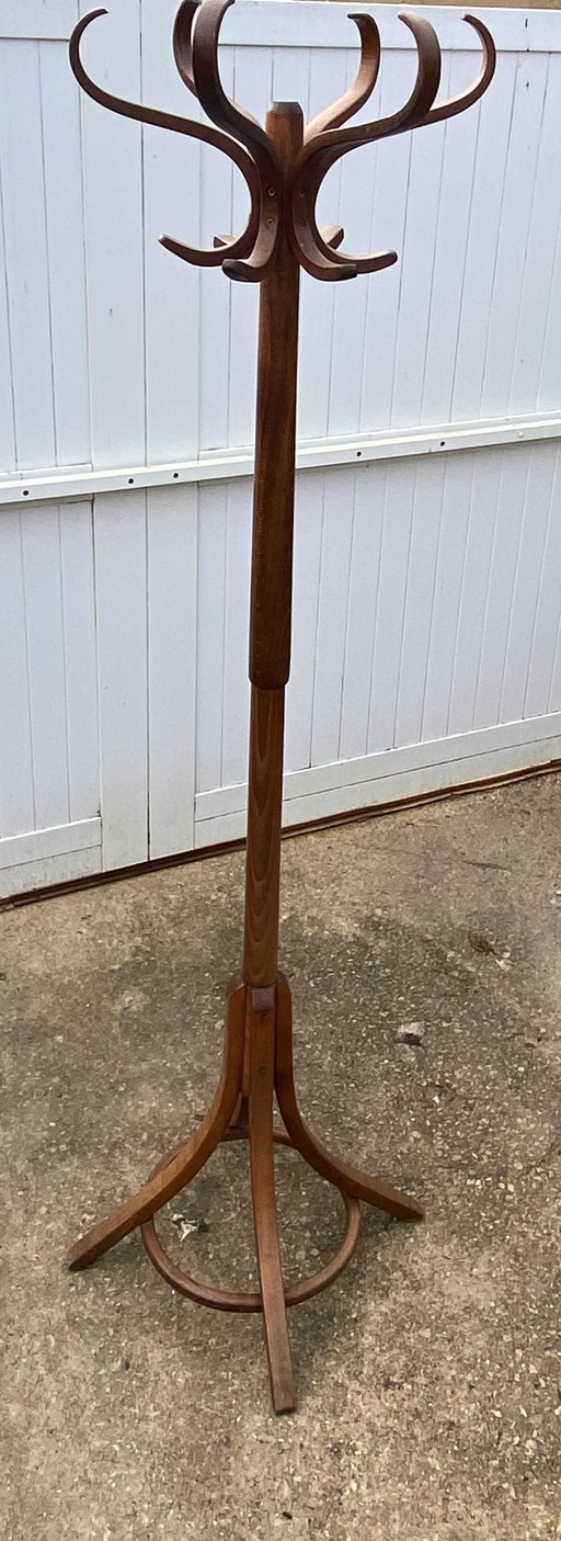 Porte Manteau Perroquet Pivotant 1960 Bois Courbé