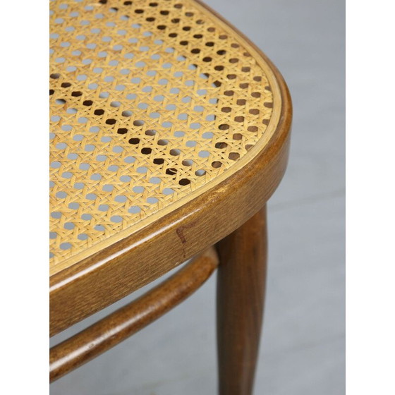 Image 1 of Paire de chaises de salle à manger Thonet 207R vintage
