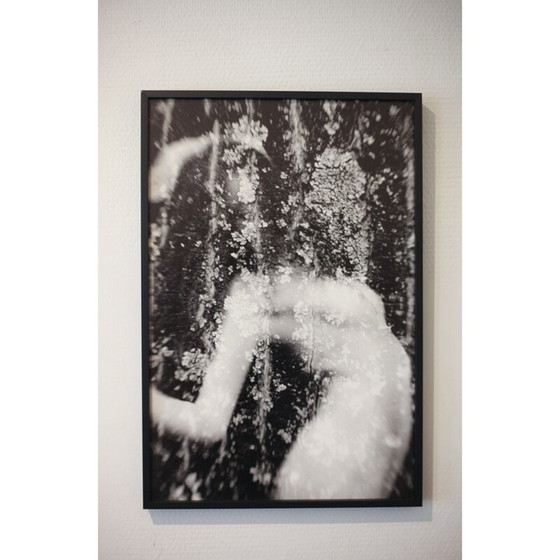 Image 1 of Tableau vintage Mouvements Naturels 03 de Meïdhy Bichon, 2019