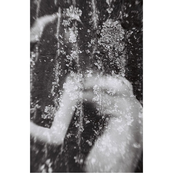 Image 1 of Tableau vintage Mouvements Naturels 03 de Meïdhy Bichon, 2019