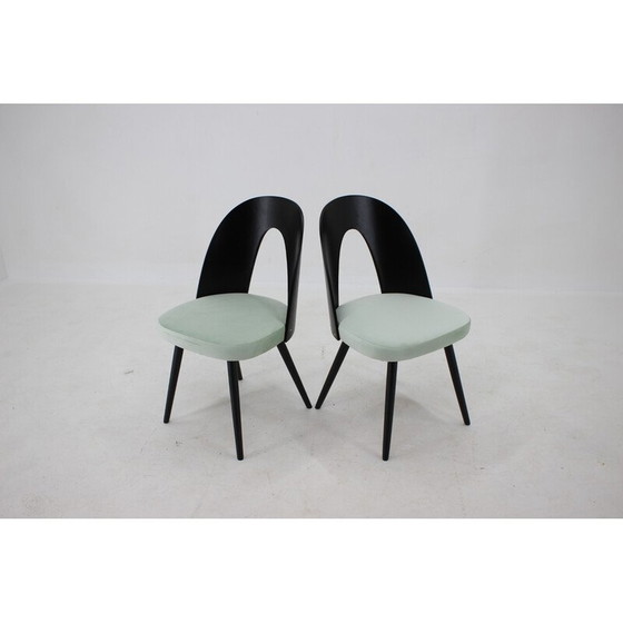 Image 1 of Ensemble de 4 chaises de salle à manger vintage en bois par Antonin Suman, Tchécoslovaquie 1960