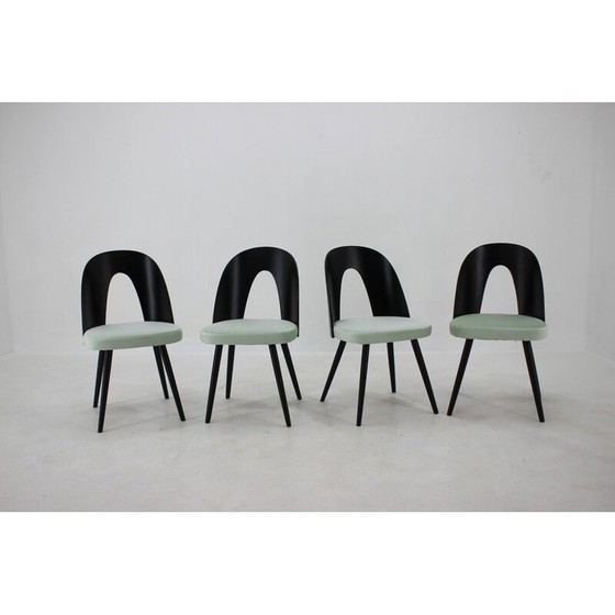 Image 1 of Ensemble de 4 chaises de salle à manger vintage en bois par Antonin Suman, Tchécoslovaquie 1960