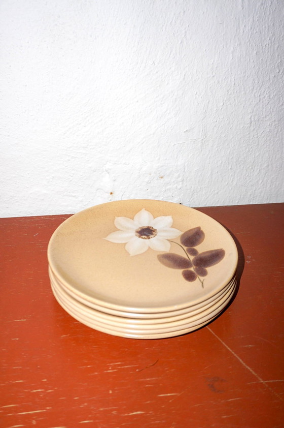 Image 1 of 6 X Assiettes plates Gres Saint Amand Moulin Des Loups Marron Blanc Fleur d'Automne Modèle