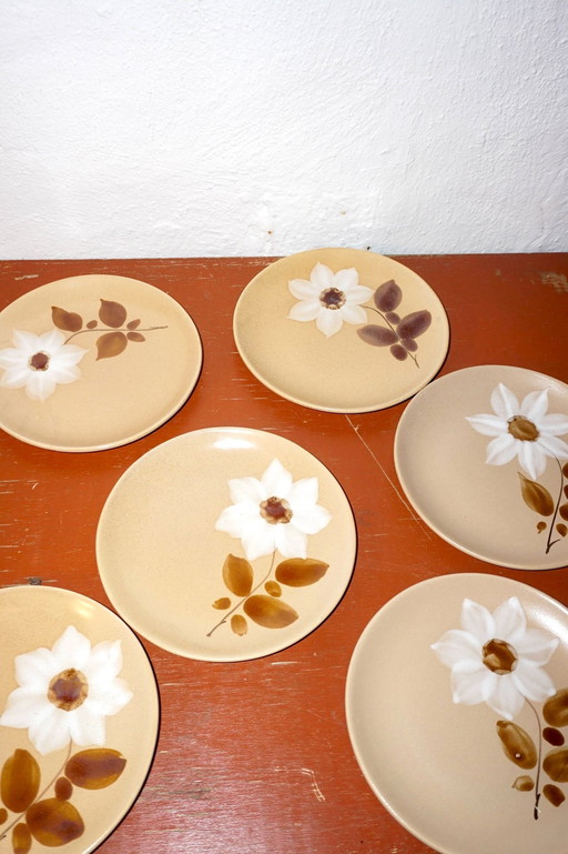 6 X Assiettes plates Gres Saint Amand Moulin Des Loups Marron Blanc Fleur d'Automne Modèle