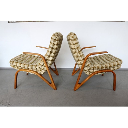 Paire de chaises vintage en frêne par Paul Bode pour Federholz-Gesellschaft, 1950