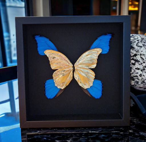 Papillons Morpho authentiques dorés à l'or fin (23Ct) dans un cadre