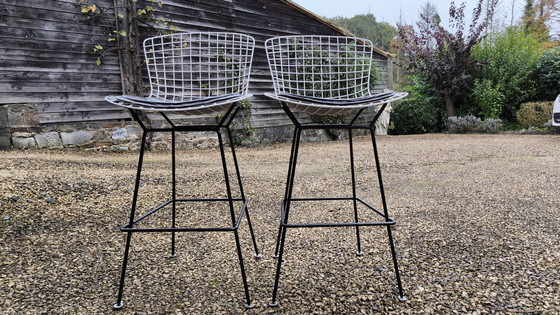 Image 1 of 2X Chaise De Bar Knoll Par Harry Bertoia