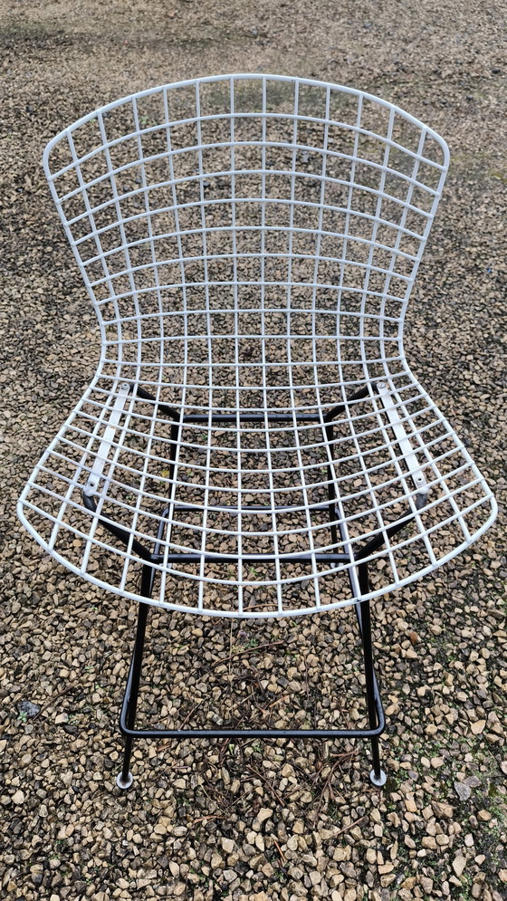 Image 1 of 2X Chaise De Bar Knoll Par Harry Bertoia