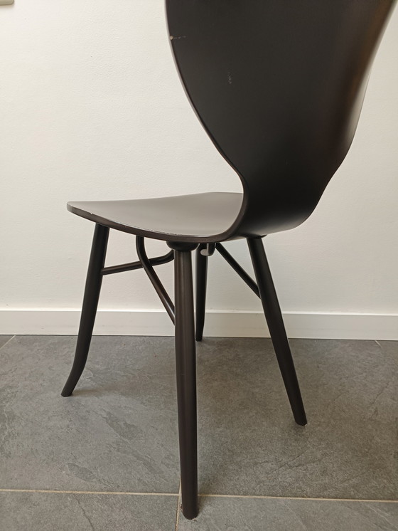 Image 1 of 6x Linteloo Tulipani Design Chairs