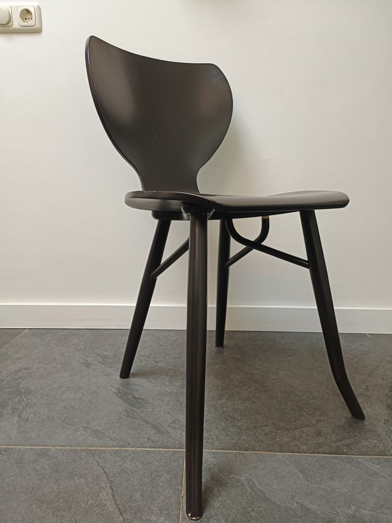 Image 1 of 6x Linteloo Tulipani Design Chairs