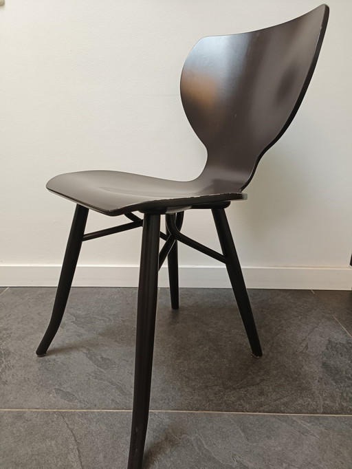 6x Linteloo Tulipani Design Chairs