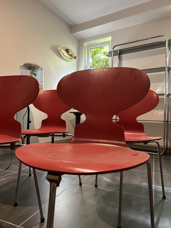 Image 1 of 4x chaises de salle à manger Arne Jacobsen