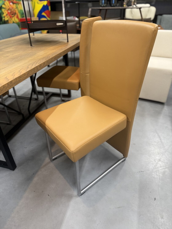 Image 1 of 4 Chaises de salle à manger Rolf Benz 7400 en cuir camel