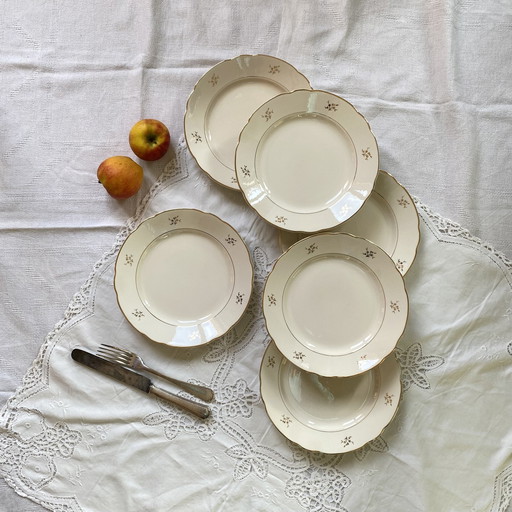 Lot De 6 Assiettes Plates Faïence Ancienne Couleur Beige Et Dorure Avec Fleurs Villeroy Et Boch