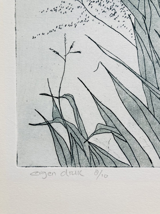 Image 1 of Gerard Van Kerkhof - Gravure