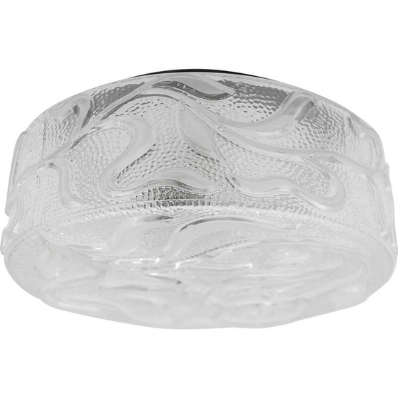 Image 1 of Plafonnier botanique vintage en verre transparent, Allemagne 1960