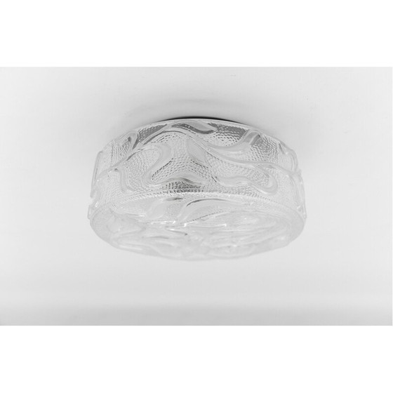 Image 1 of Plafonnier botanique vintage en verre transparent, Allemagne 1960