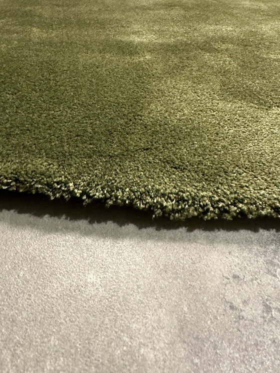 Image 1 of Tapis Brink En Campman Liscio Moss Lb317 250Cm Round