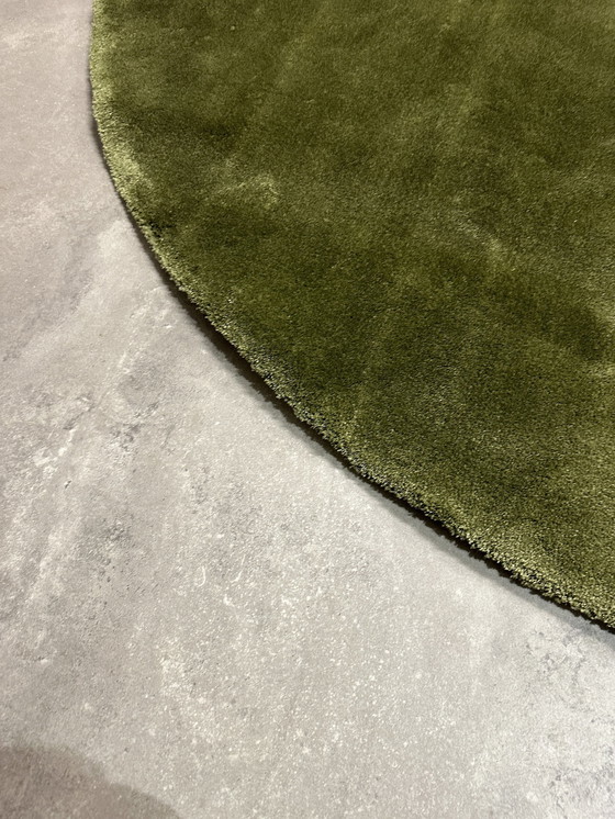 Image 1 of Tapis Brink En Campman Liscio Moss Lb317 250Cm Round