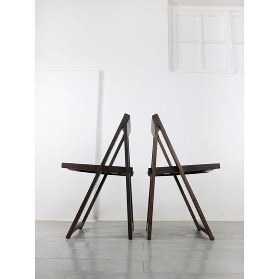 Image 1 of Chaise pliante vintage Trieste par Aldo Jacober et Pierangela d'Aniello pour Bazzani