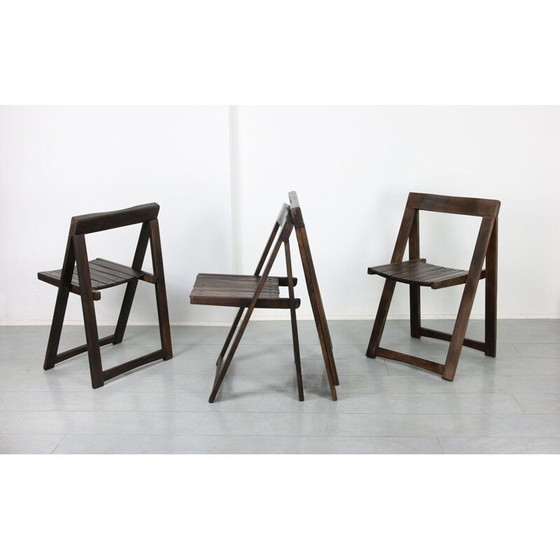 Image 1 of Chaise pliante vintage Trieste par Aldo Jacober et Pierangela d'Aniello pour Bazzani