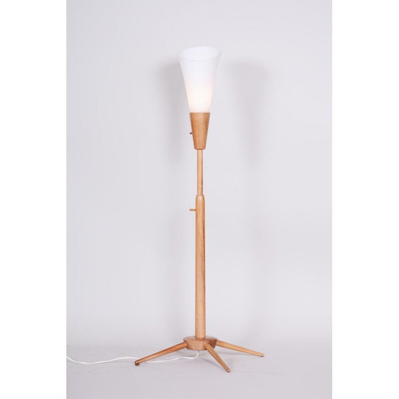 Image 1 of Lampadaire vintage en bois de frêne pour Úluv, Tchécoslovaquie 1960