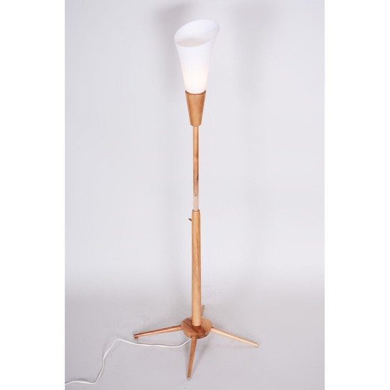 Image 1 of Lampadaire vintage en bois de frêne pour Úluv, Tchécoslovaquie 1960