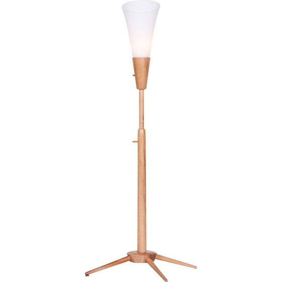 Image 1 of Lampadaire vintage en bois de frêne pour Úluv, Tchécoslovaquie 1960