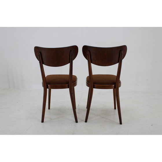 Image 1 of Ensemble de 4 chaises à boucle en hêtre, Tchécoslovaquie 1950