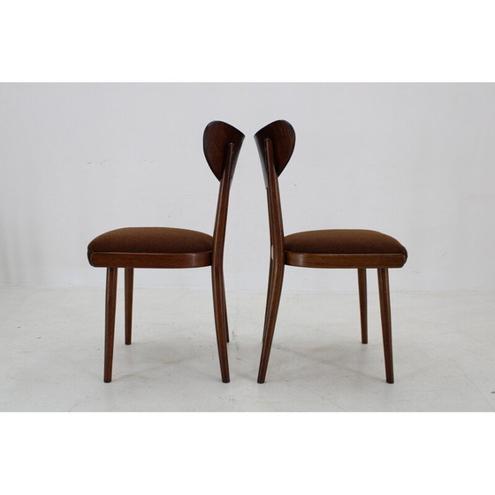 Image 1 of Ensemble de 4 chaises à boucle en hêtre, Tchécoslovaquie 1950