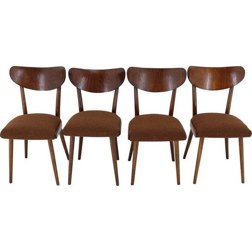 Ensemble de 4 chaises à boucle en hêtre, Tchécoslovaquie 1950