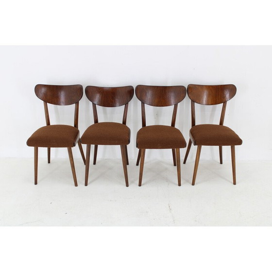 Image 1 of Ensemble de 4 chaises à boucle en hêtre, Tchécoslovaquie 1950