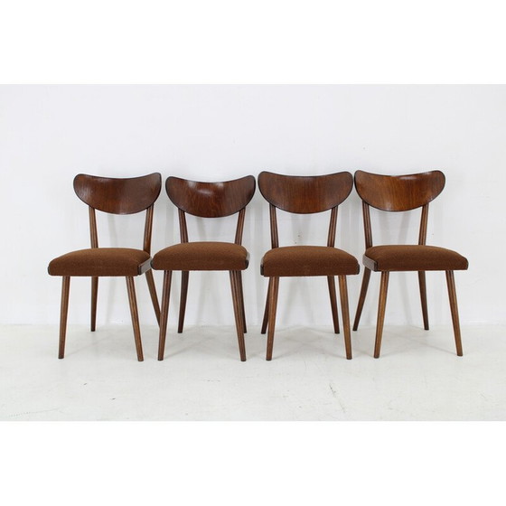 Image 1 of Ensemble de 4 chaises à boucle en hêtre, Tchécoslovaquie 1950