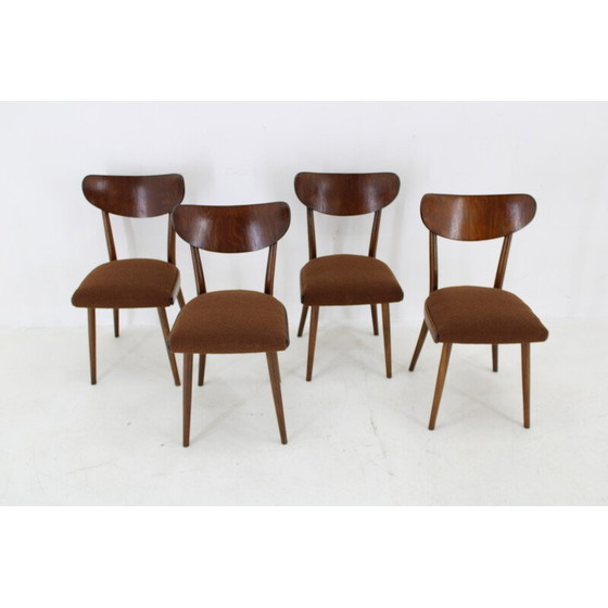 Image 1 of Ensemble de 4 chaises à boucle en hêtre, Tchécoslovaquie 1950