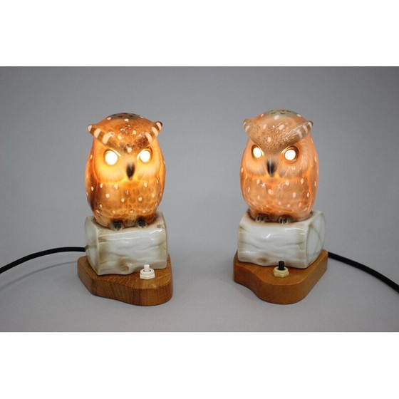 Image 1 of Paire de lampes de table hibou en porcelaine, Tchécoslovaquie 1930
