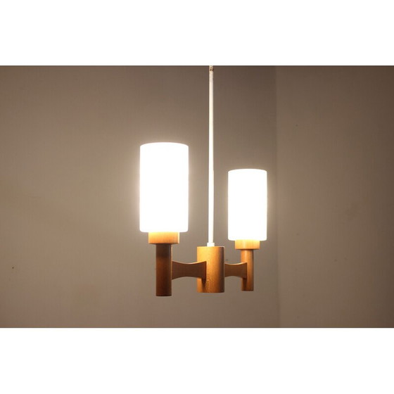 Image 1 of Lampe suspendue vintage en bois et verre, Tchécoslovaquie, années 1980