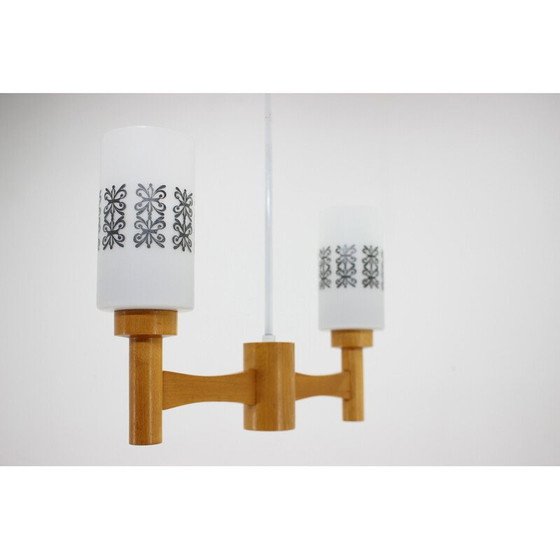 Image 1 of Lampe suspendue vintage en bois et verre, Tchécoslovaquie, années 1980